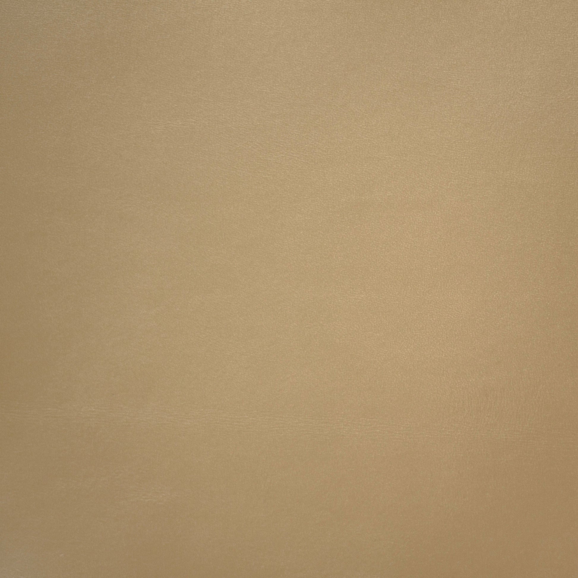 Beige color leather swatch 