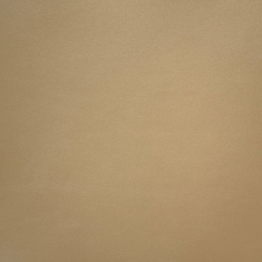 Beige color leather swatch 
