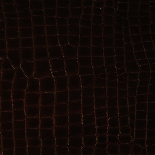 Cocodrilo Burnish