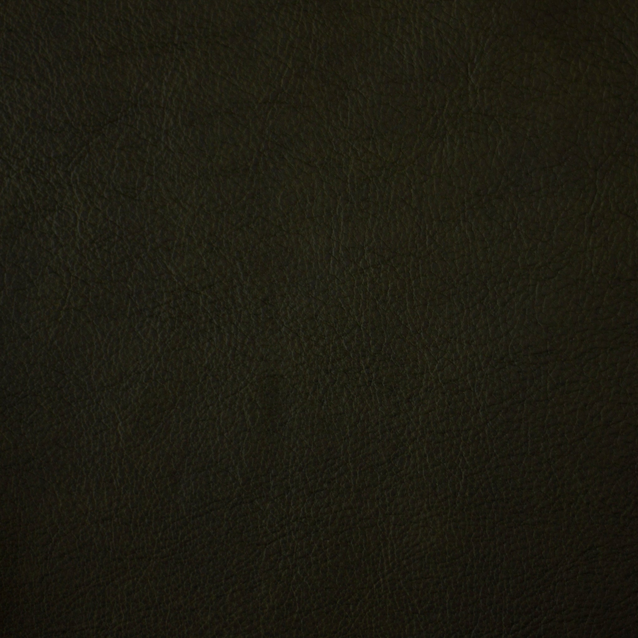 Conquer Gallagher Tiger Leather