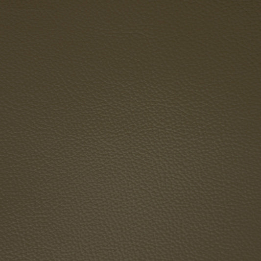 Diva, Fennel, Iconic® Antimicrobial & Cleanable, Hospitality Leather Hide