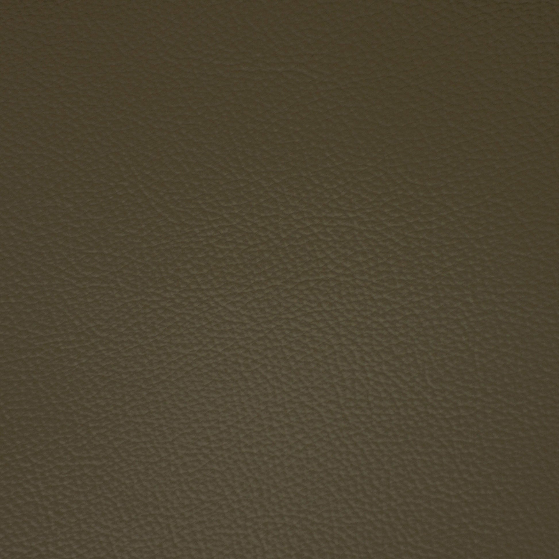 Diva, Fennel, Iconic® Antimicrobial & Cleanable, Hospitality Leather Hide
