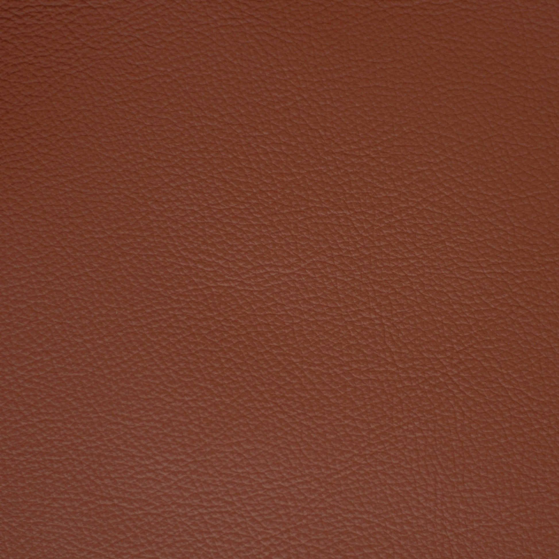 Diva, Parquet, Iconic® Antimicrobial & Cleanable, Hospitality Leather Hide
