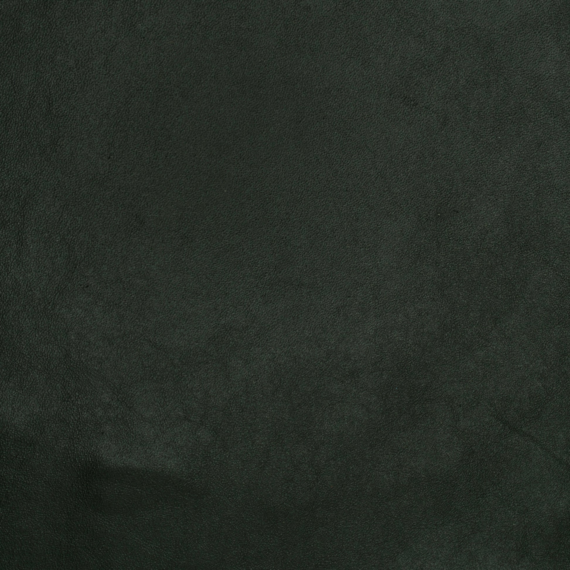 dark green textured leather swatch