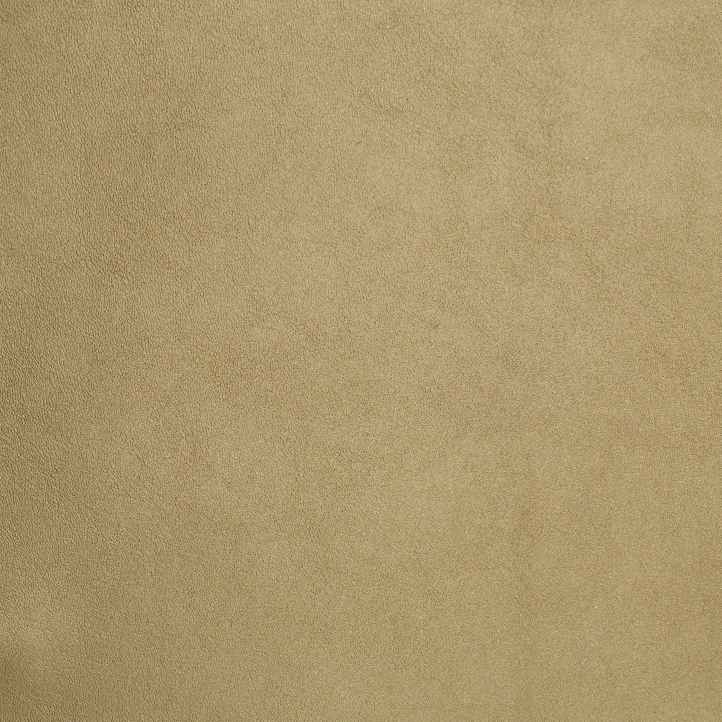 grainy beige leather swatch