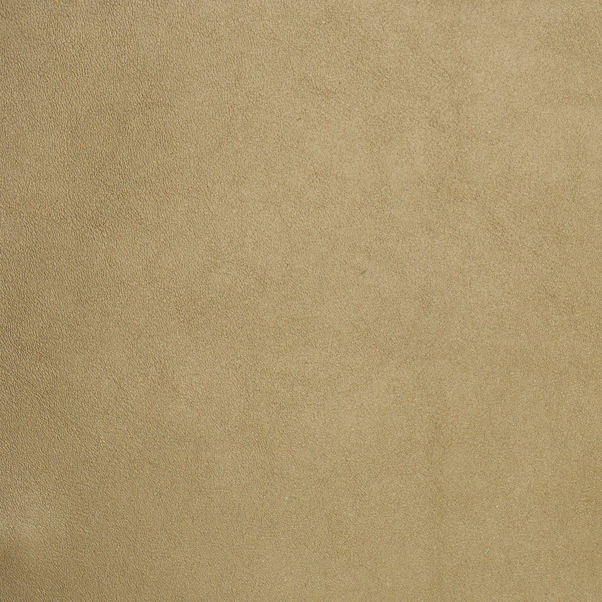 grainy beige leather swatch