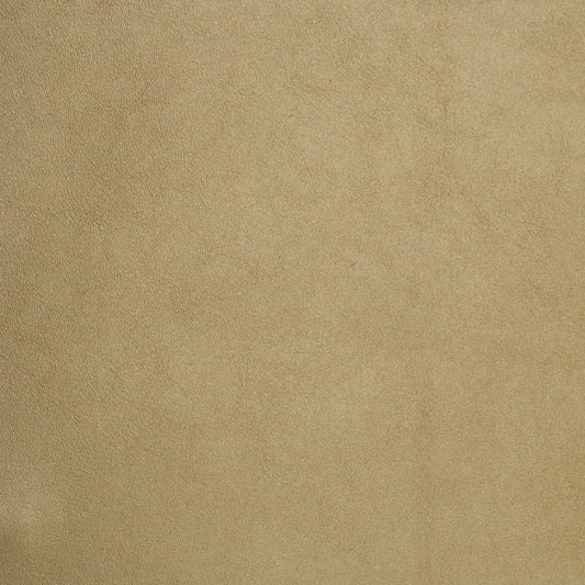 grainy beige leather swatch