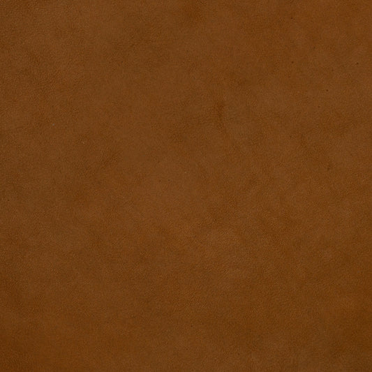 brown texture leather swatch