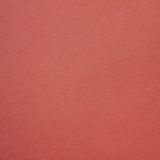 Empire, Brick Dust, Iconic® Antimicrobial & Cleanable, Hospitality Leather Hide