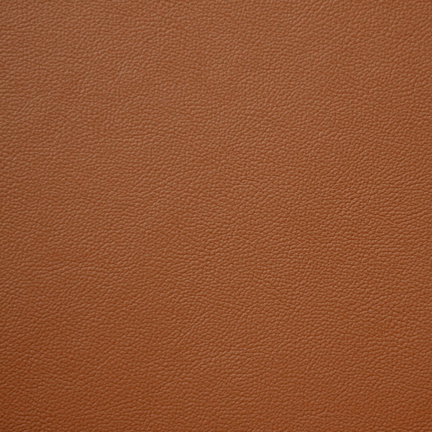 Empire, Chariot, Iconic® Antimicrobial & Cleanable, Hospitality Leather Hide