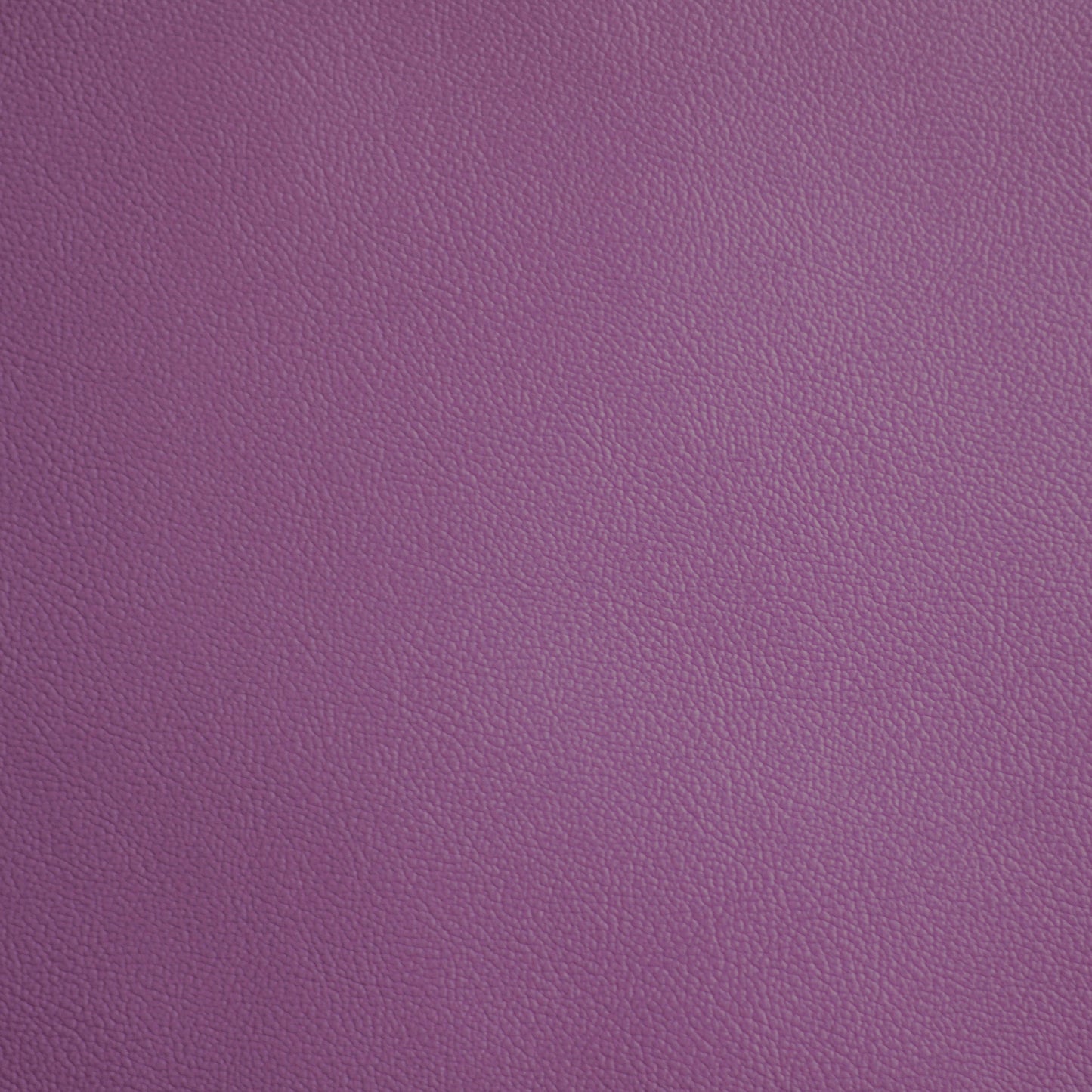 Empire, Concord, Iconic® Antimicrobial & Cleanable, Hospitality Leather Hide