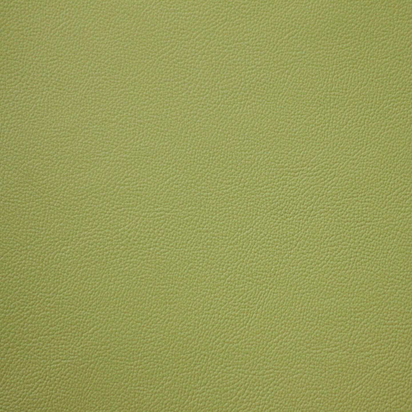 Empire, Mantis, Iconic® Antimicrobial & Cleanable, Hospitality Leather Hide