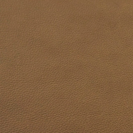 Italia, Rome, Spilltop® Water Resistance, Hospitality Leather Hide