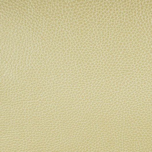 Jamboree. Pavilion, Iconic® Antimicrobial & Cleanable, Hospitality Leather Hide