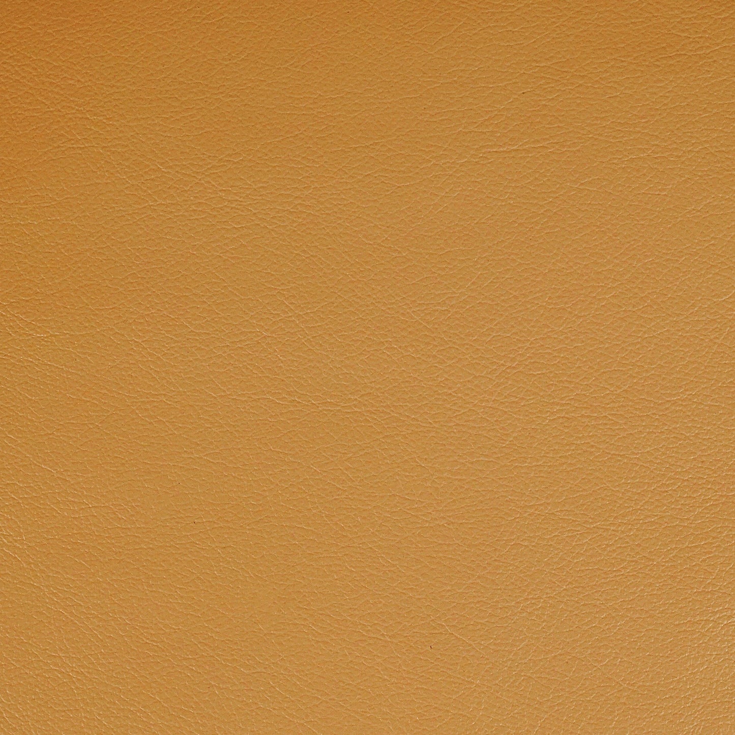 Kismet, Bishop, Iconic® Antimicrobial & Cleanable, Hospitality Leather Hide