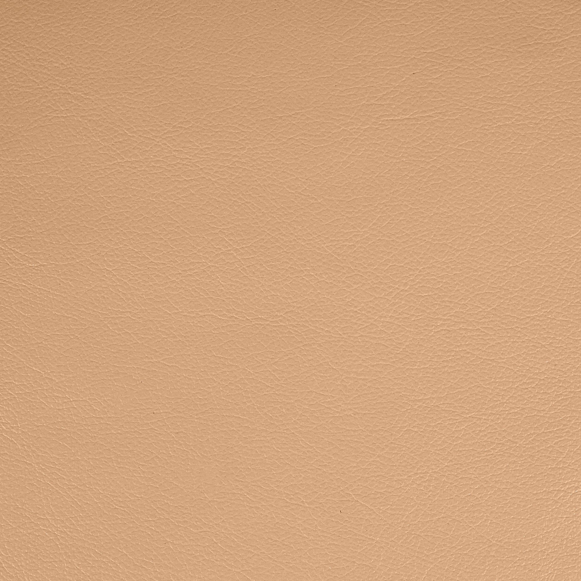 Kismet, Crepe Paper, Iconic® Antimicrobial & Cleanable, Hospitality Leather Hide