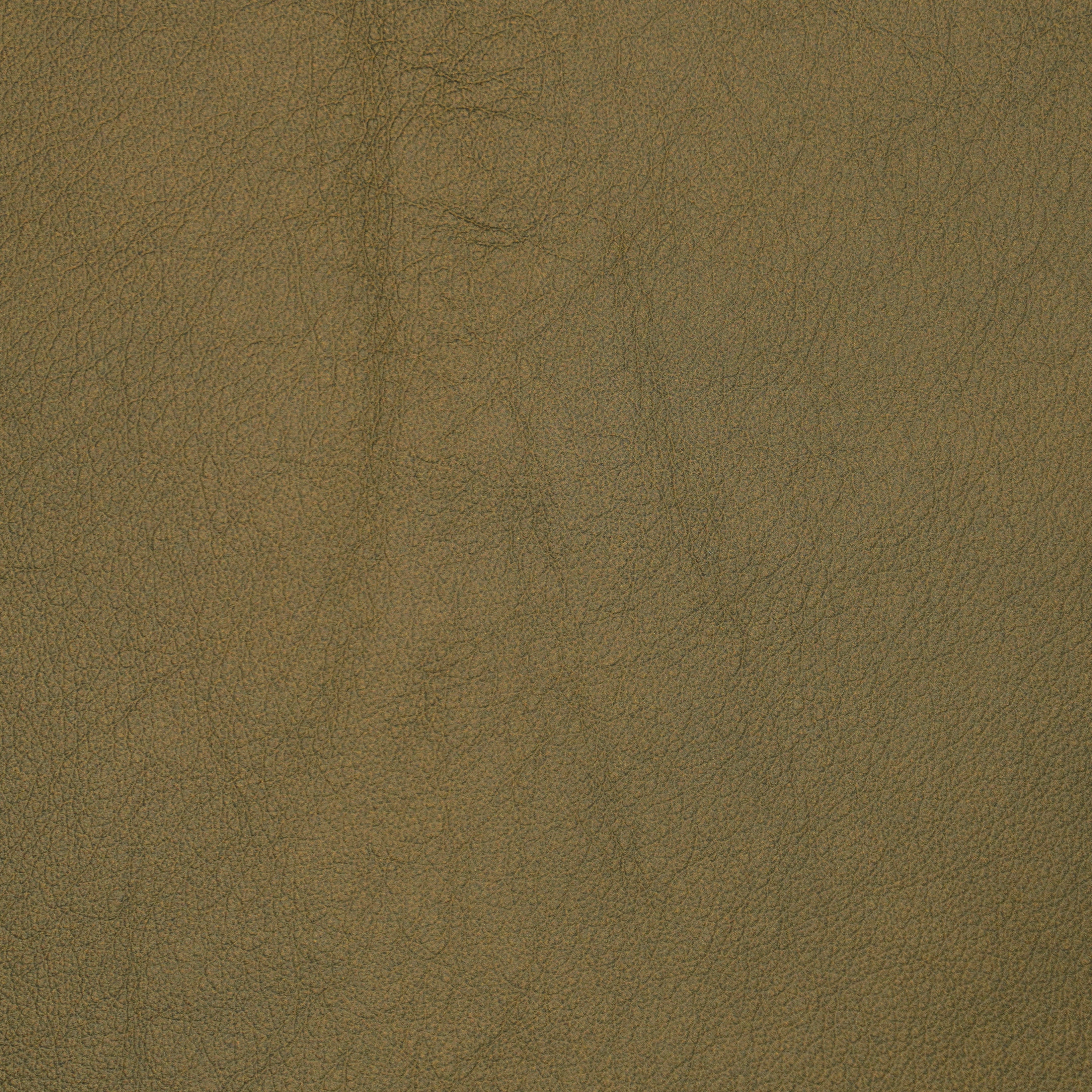 leather swatch brown color with subtle grains.