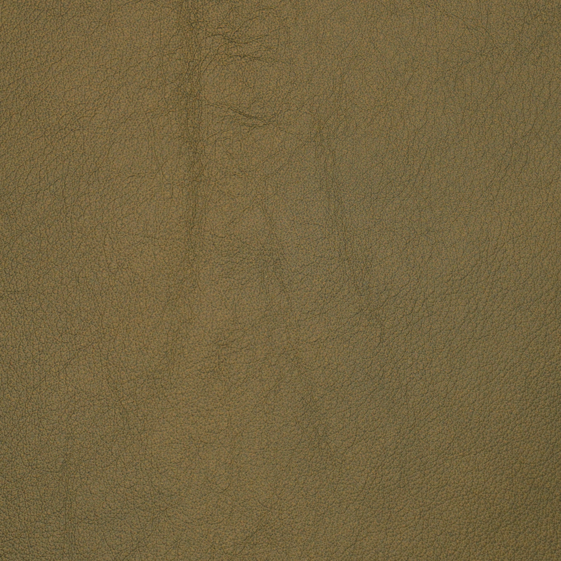 leather swatch brown color with subtle grains.