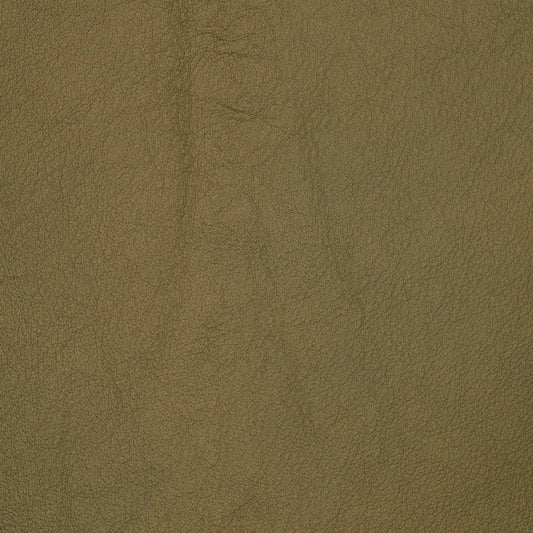 leather swatch brown color with subtle grains.