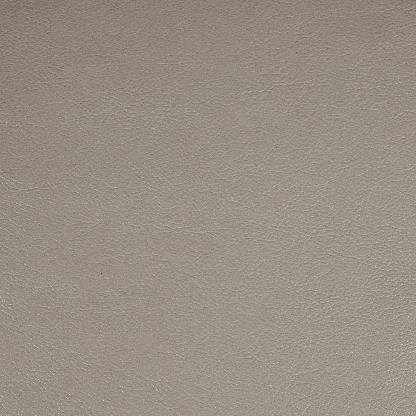 Kismet, Spalding, Iconic® Antimicrobial & Cleanable, Hospitality Leather Hide