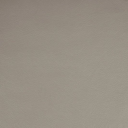 Kismet, Spalding, Iconic® Antimicrobial & Cleanable, Hospitality Leather Hide