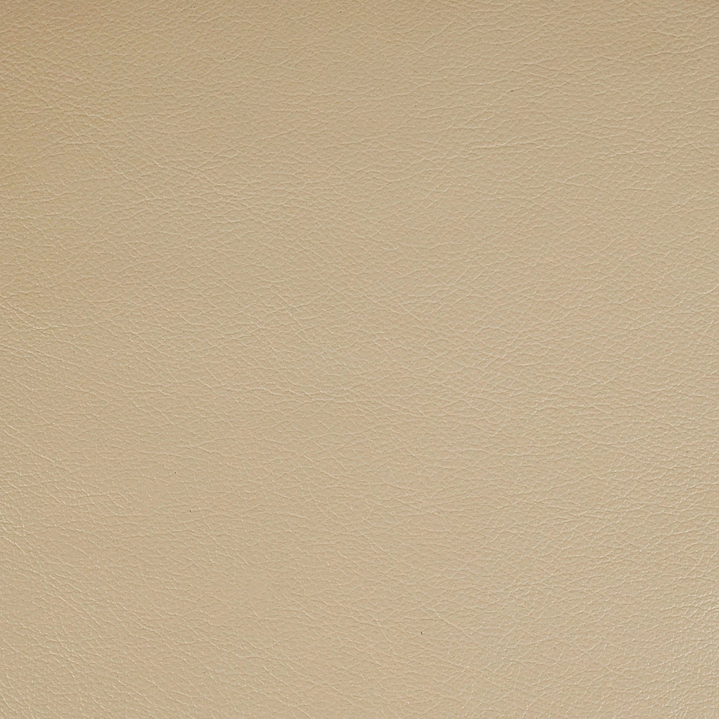 Kismet, Turtledove, Iconic® Antimicrobial & Cleanable, Hospitality Leather Hide