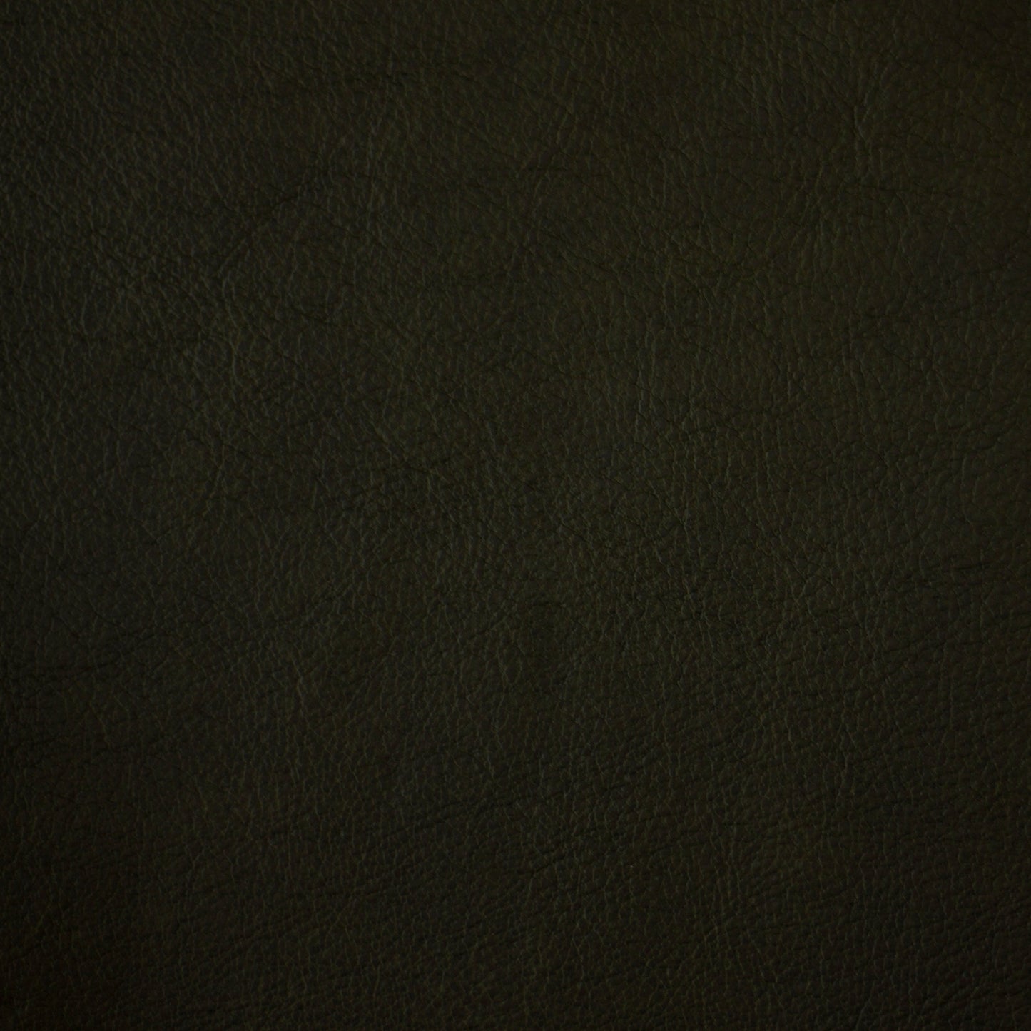 Solid dark green leather color swatch
