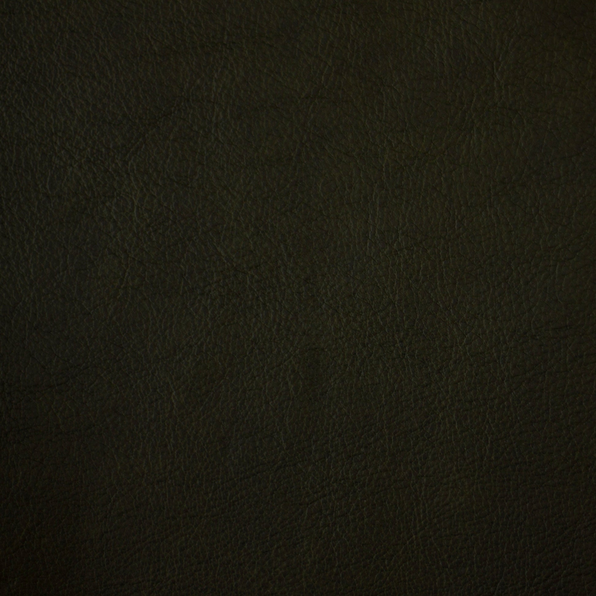 Solid dark green leather color swatch