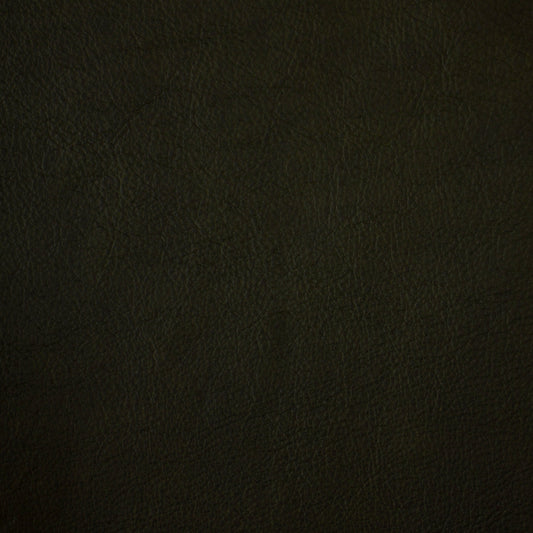 Solid dark green leather color swatch