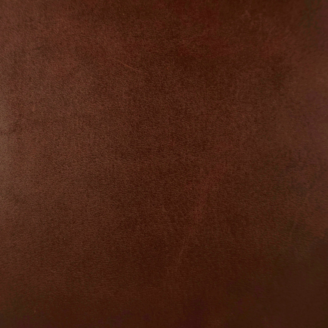 Mojave Red Racer – Tiger Leather