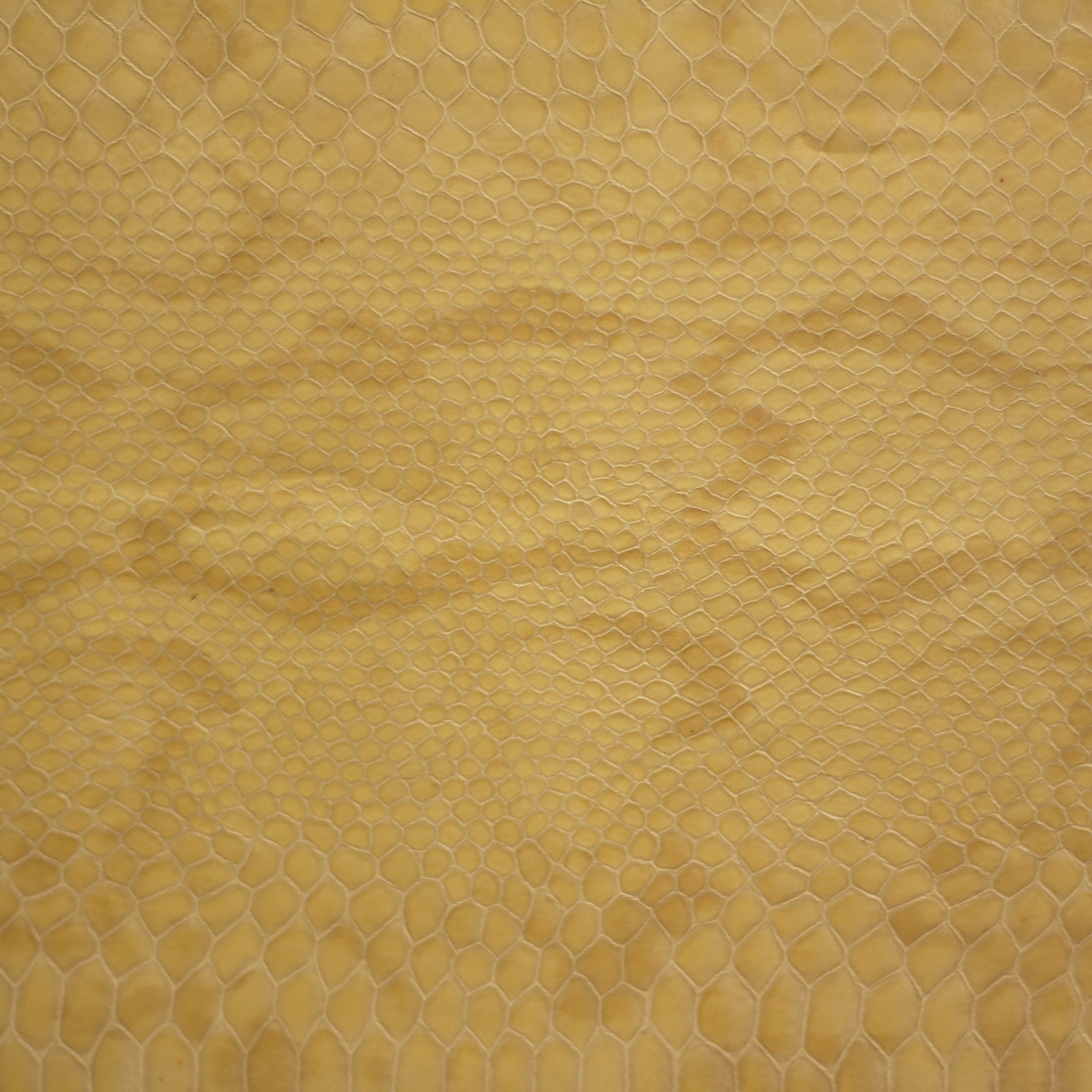 Python Fang Tiger Leather Python fang tiger leather