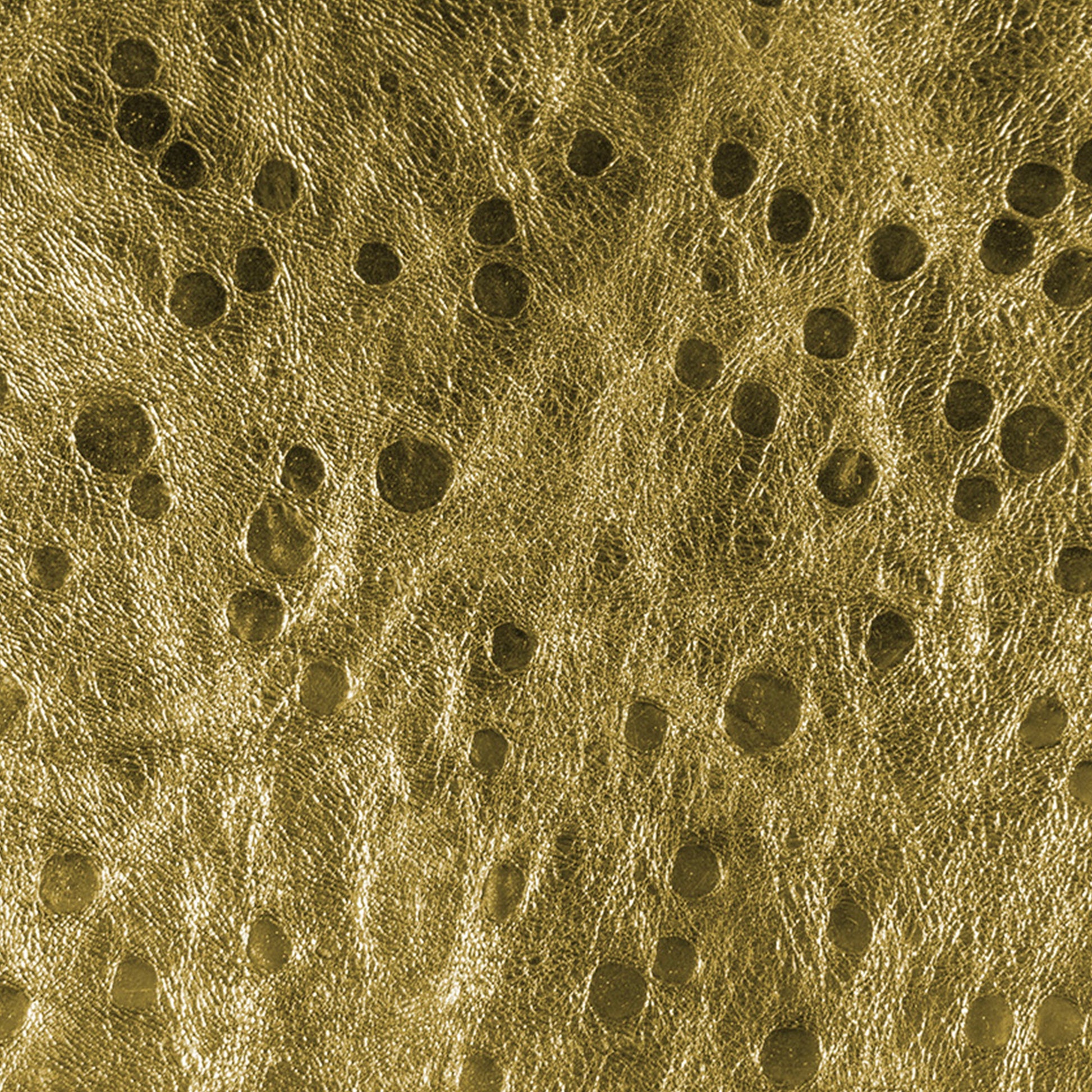 Textured gold surface with circular patterns