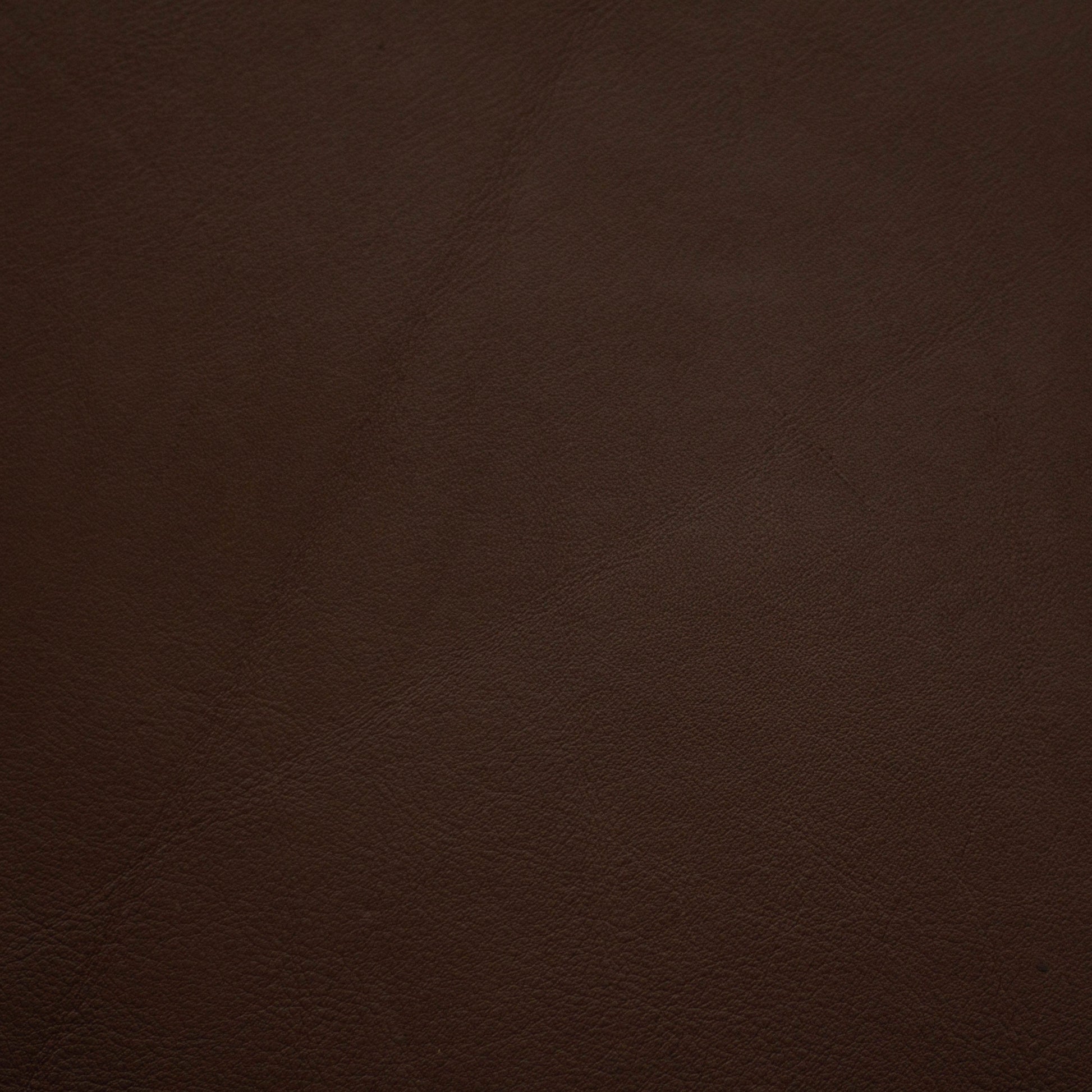 Renaissance, Smudge, Iconic® Antimicrobial & Cleanable, Hospitality Leather Hide