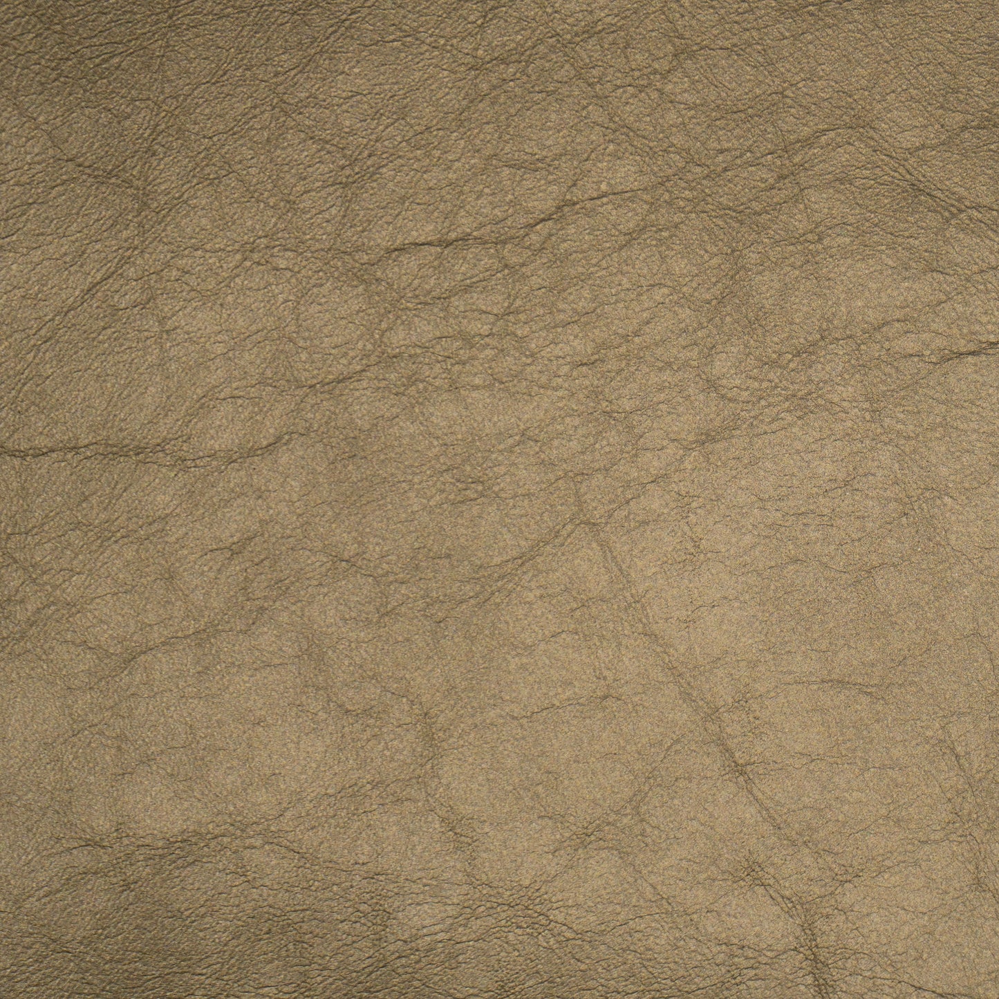 Shimmer Titanium