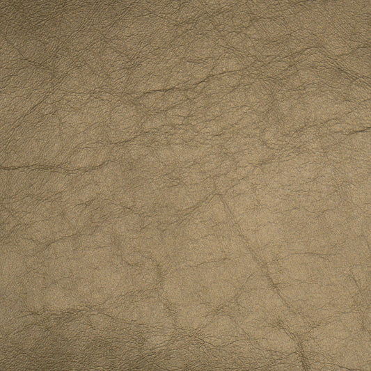 Shimmer Titanium