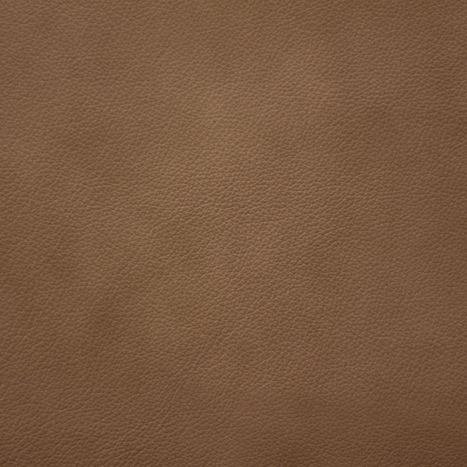 Trattoria, Fontina, Spilltop® Water Resistance, Hospitality Leather Hide