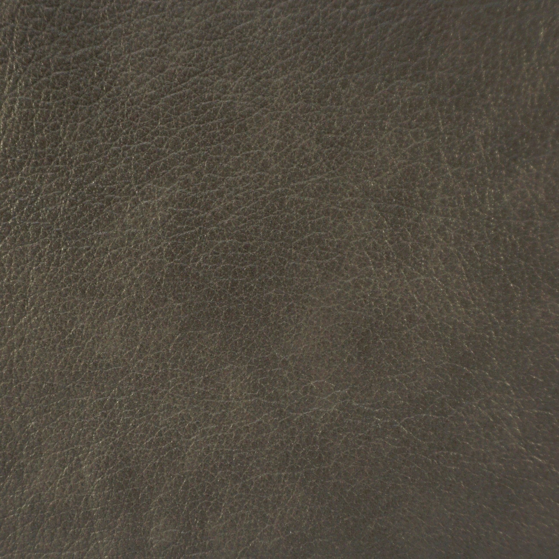 Trattoria, Sardina, Spilltop® Water Resistance, Hospitality Leather Hide