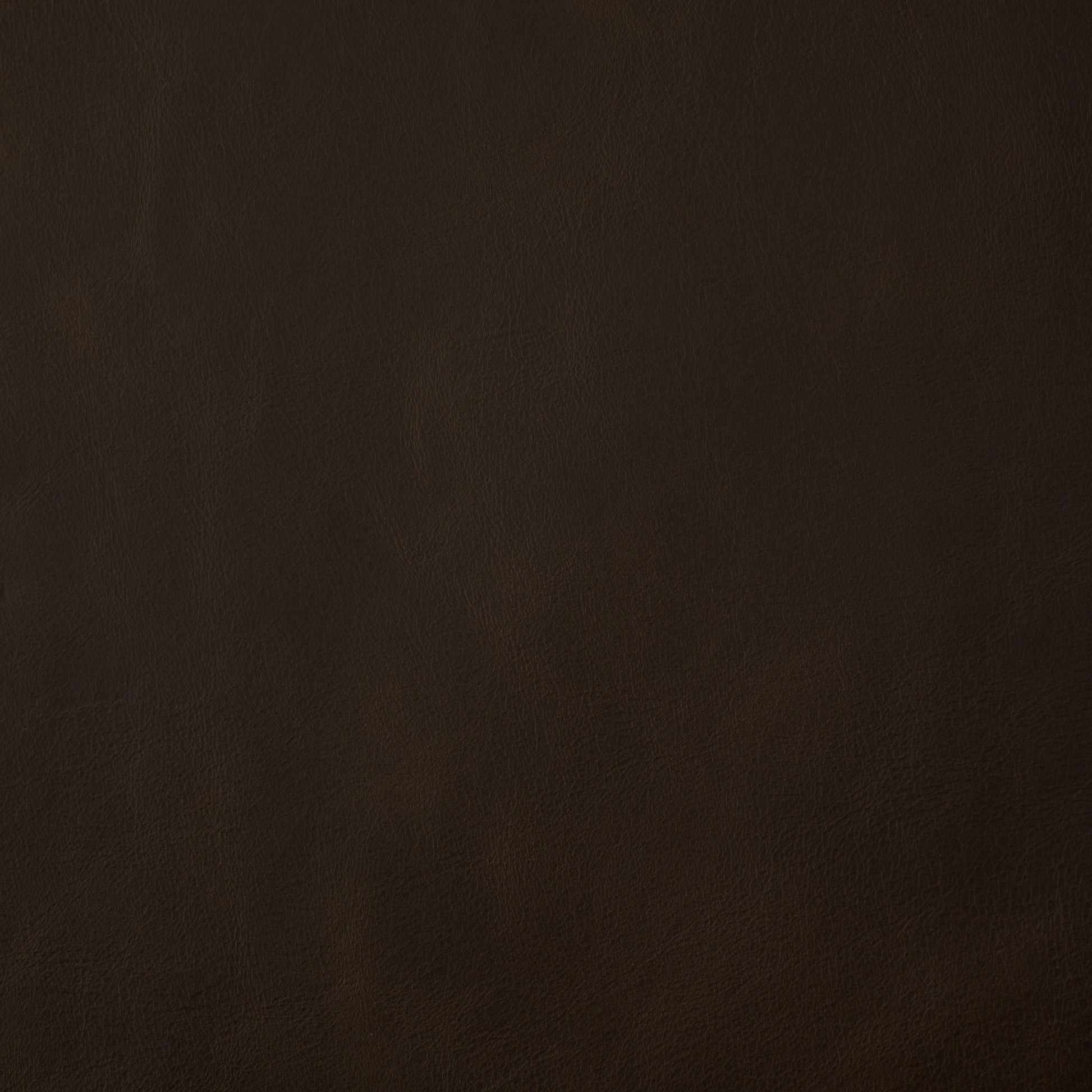 Solid dark brown leather swatch